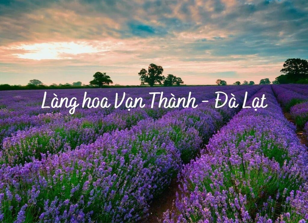 Làng hoa Vạn Thành